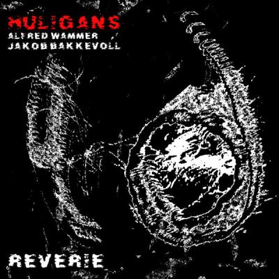 Jakob Bakkevoll - REVERIE (2025) [FLAC 24B-48kHz]