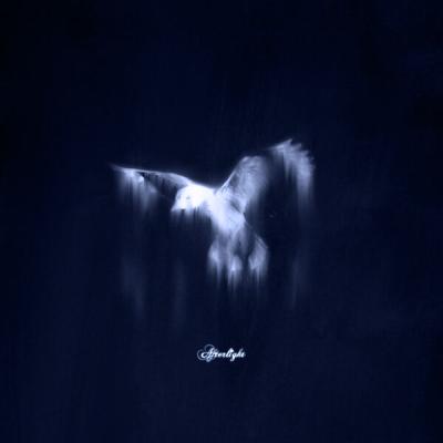 Golden Blue - Afterlight (2025) [FLAC 24B-48kHz]