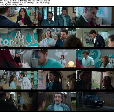 [Image: _4481d29794ee3ceab391f95d89529df8.jpeg]