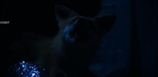 Глазами пса (2025)