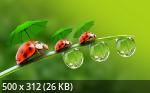 Best Mixture Wallpapers Collection 70