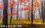 Best Mixture Wallpapers Collection 70