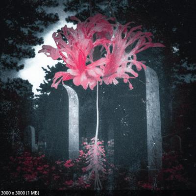 After Hour Animals - Total Disconnect (EP) (2025)