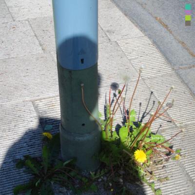 Bearcubs - Breathin' (2025) [FLAC 16B-44.1kHz]