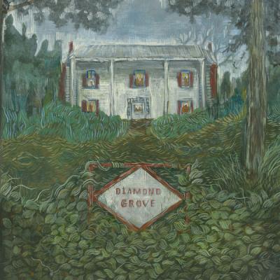 Weirs - Diamond Grove (2025) [FLAC 16B-44.1kHz]