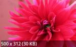 Best Wallpapers Mix Collection 24
