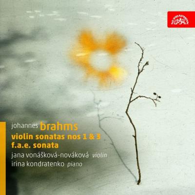 Jana Vonášková-Nováková, Irina Kondratenko - Brahms Violin Sonatas (2014) [FLAC 16B-44.1kHz]
