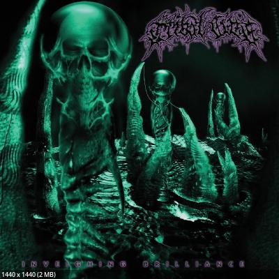 Tribal Gaze - Inveighing Brilliance (2025)