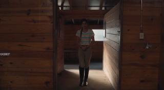 Если бы я могла снова поехать (2025)