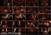 SinfulXXX - Rika Fane  Best Birthday Ever 2 (FullHD/1080p/2.29 GB)
