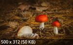 Mixturka - Wallpapers Collection 221
