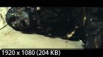  () (1 /2025/WEB-DL/1080p)