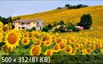 Best Wallpapers Mix Collection 27