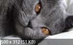 Mixturka - Wallpapers Collection 223