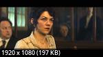  () (1 /2025/WEB-DL/1080p)