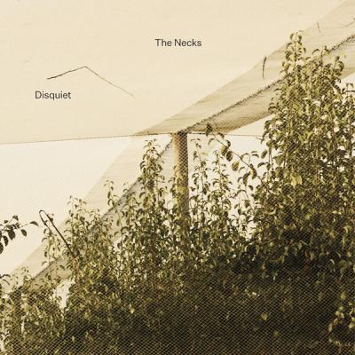 The Necks - Disquiet (2025) [FLAC 24B-96kHz]