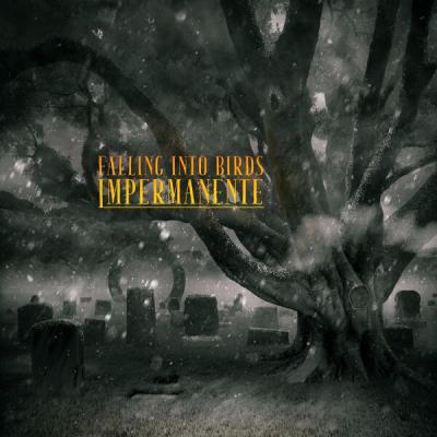 Falling into Birds - Impermanente (2025) [FLAC 24B-44.1kHz]