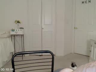 [Изображение: 5d94bcbea671a380928f026ed1e9552b.jpeg]