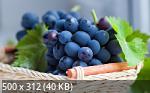Best Mix Wallpapers 799