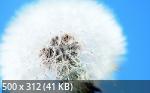 Best Wallpapers Mix Collection 30