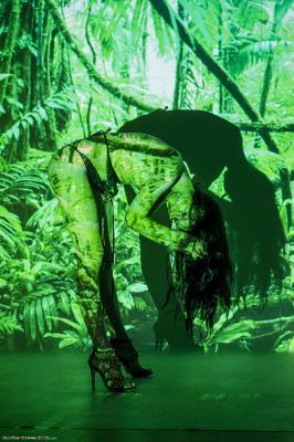 [Image: _761e84fedc4b40f8da0987f2ada13784.jpeg]