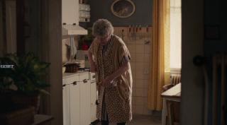 Кульбиты господина актёра (2024)