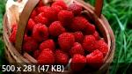 Mixturka - Wallpapers Collection 229