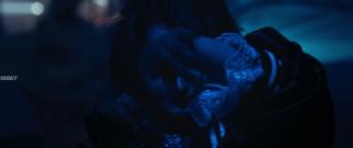 Вруклинский зоопарк (2024)