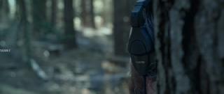 Среди сосен (2025)