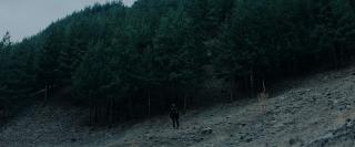    / The Occupant (2025/WEB-DL/WEB-DLRip)