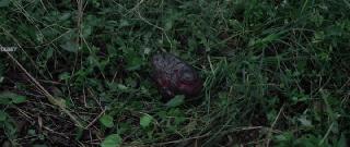 Лига Богов: Падение Шен (2023)