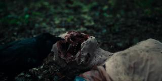  / Other (2025/WEB-DL/WEB-DLRip)