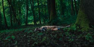  / Other (2025/WEB-DL/WEB-DLRip)