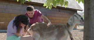 Счастливчики (2025)