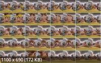 SexLikeReal/SqueezeVR/Squeeze VR - Stacy Cruz, Rika Fane  Stepsisters (2K/1600p/2.37 GB)