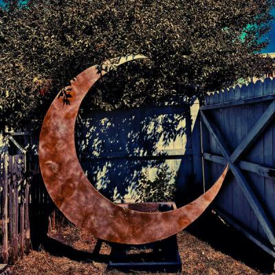 Idle Waves - In Another Life (live at Larry Spring Musuem 8302025) (2025) [FLAC 24B-44.1kHz]