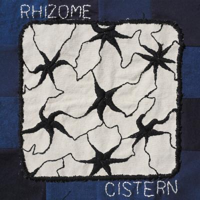 cistern - Rhizome (2025) [FLAC 24B-44.1kHz]