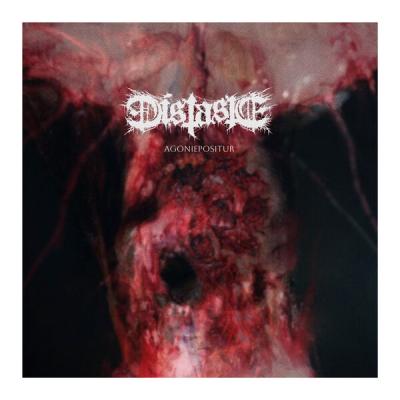 Distaste - Agoniepositur (2025) [FLAC 16B-44.1kHz]