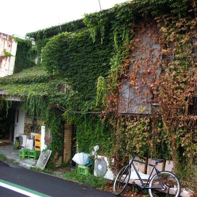 Corey Mastrangelo - Terminal C (2025) [FLAC 24B-44.1kHz]