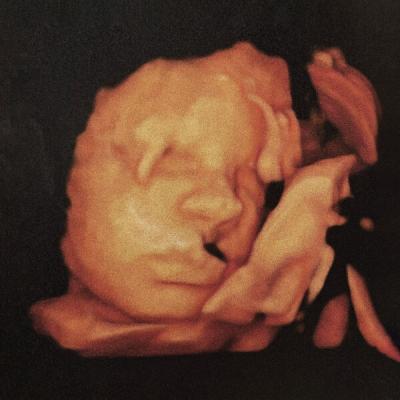 Brucherò nei pascoli - UMANA (2025) [FLAC 16B-44.1kHz]