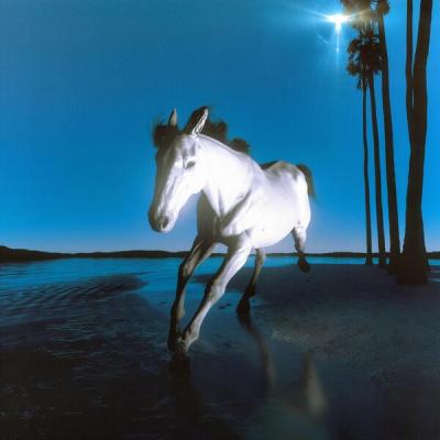 moistbreezy - Paradiso (2025) [FLAC 24B-44.1kHz]