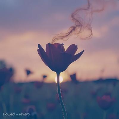 Ray Le Fanue - Something In The Air (Slowed + Reverb) (2025) [FLAC 24B-44.1kHz]