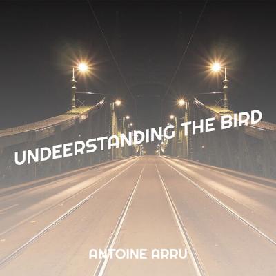 Antoine Arru - Undeerstanding the Bird (2025) [FLAC 24B-44.1kHz]