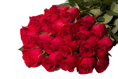 ,          .    3  !!!