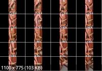 Onlyfans - Maximo Maximo Vip  Venus Afrodita  No Sin Mi Poya (FullHD/1080p/502 MB)