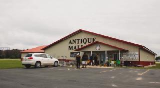 Кровососы на бездорожье (2025)