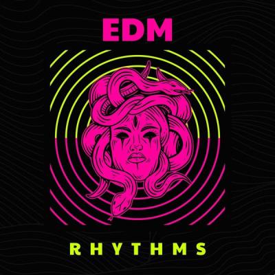 Various Artists - EDM Rhythms (2025) [FLAC 16B-44.1kHz]