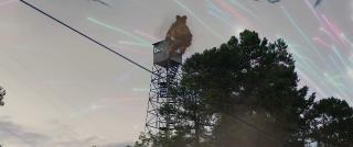 .   / Sketch (2024/WEB-DL/WEB-DLRip)