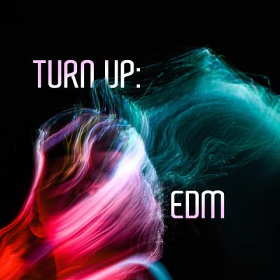 Various Artists - Turn Up EDM (2025) [FLAC 16B-44.1kHz]