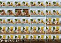 VirtualRealPorn - Selva Lapiedra  Morning Vice (UltraHD/4K/2160p/3.65 GB)